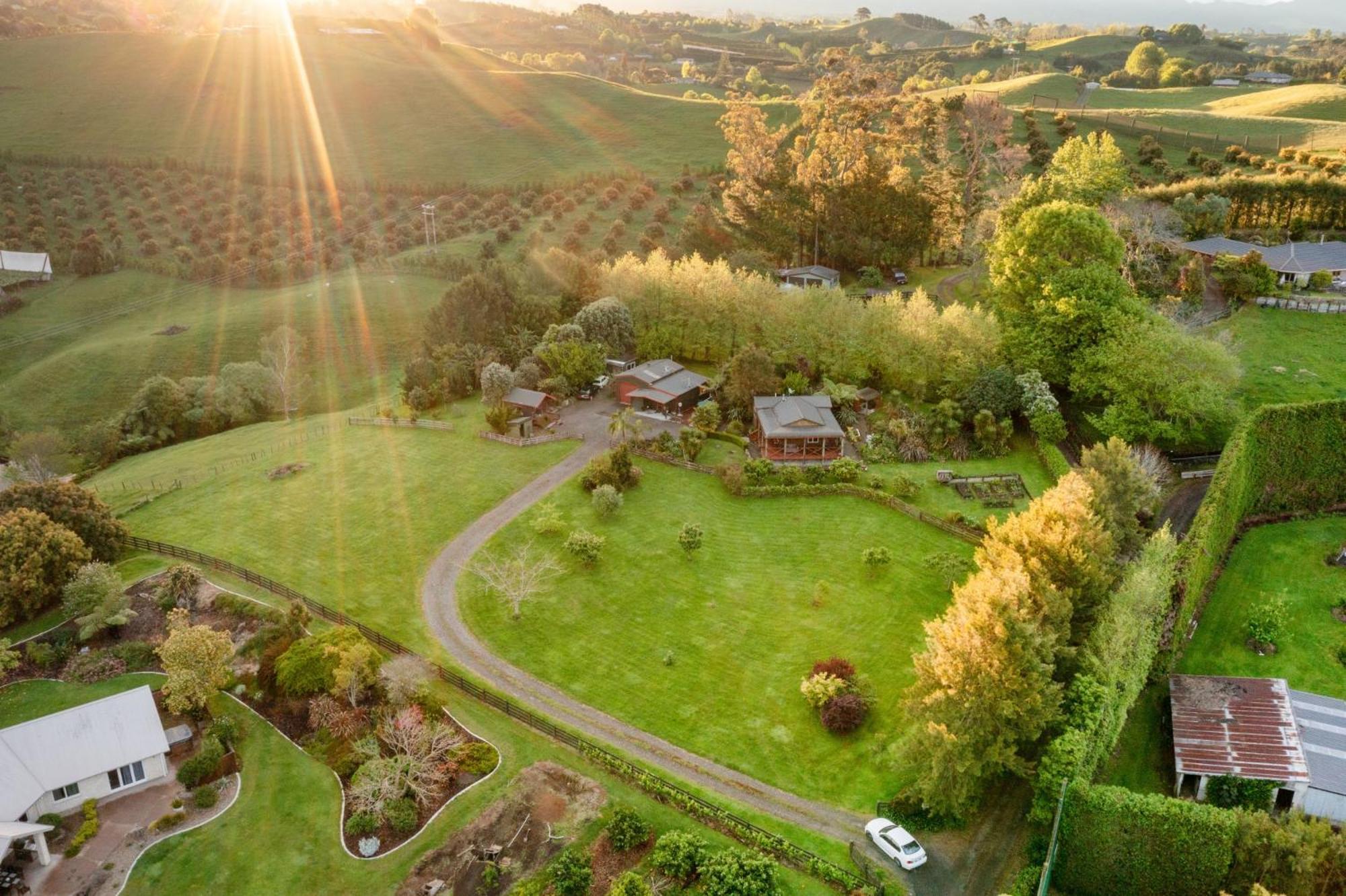 Swiss-Kiwi Cottage And Retreat, B&B Tauranga Exteriör bild